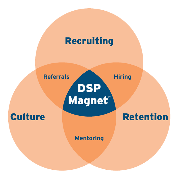 DSP Magnet®
